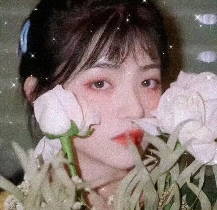 密探海芮:部落格大战